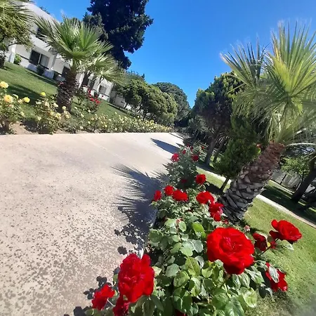 Artemis Oeren Tatil Koeyue Resort